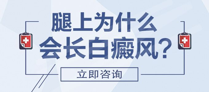 双腿白癜风是怎么回事呢?(图1)
