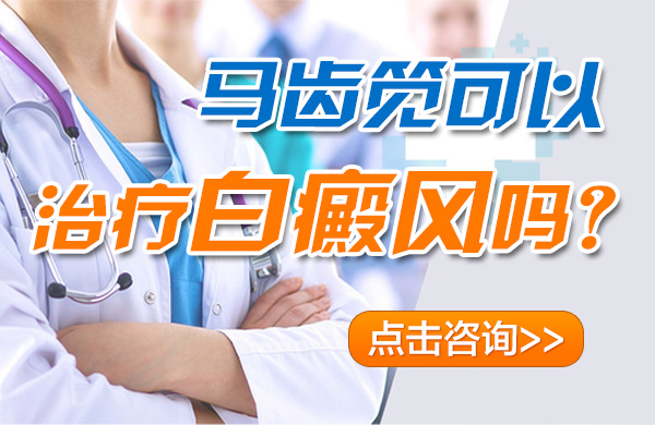 马齿笕真的可以治疗白癜风吗?(图1)